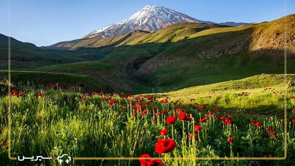 دشت لار از یهترین مکان ها برای سفر یک روزه نزدیک تهران در بهار