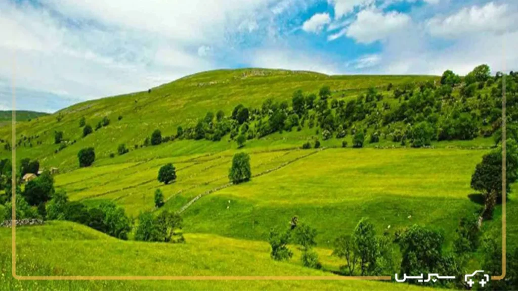 دشت ارژن، یکی از جاذبه های توریستی نزدیک به شیراز؛ طبیعت گردی اطراف شیراز