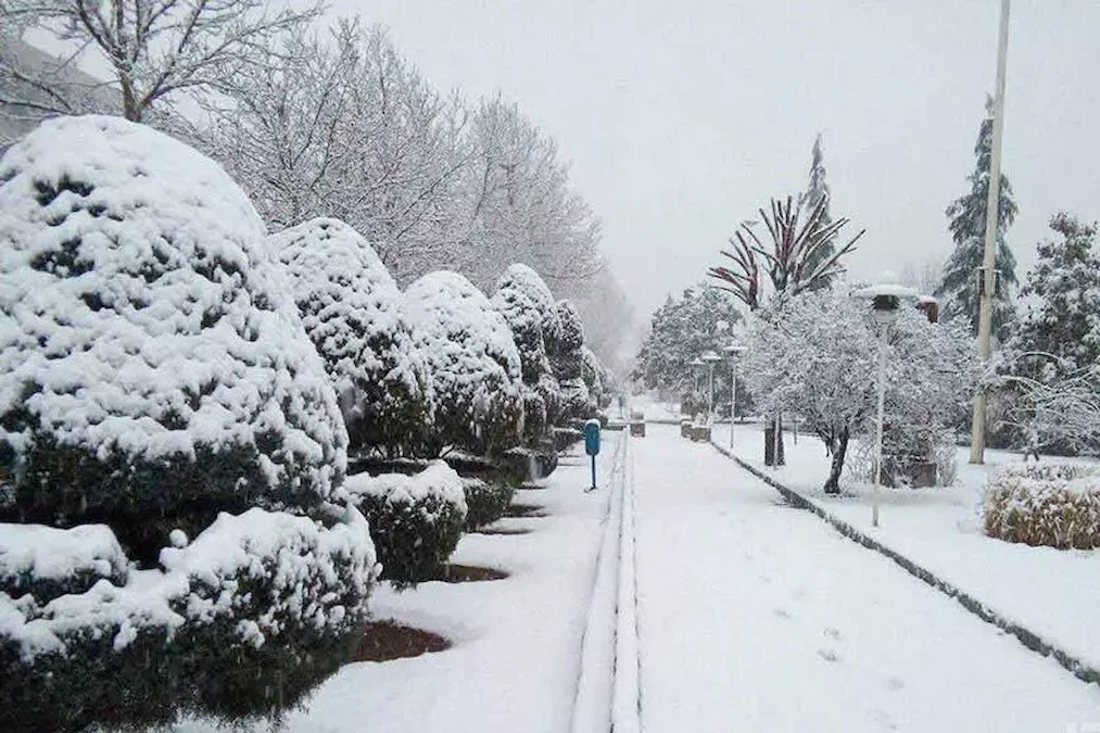 پارک جنگلی کوهسار از پارک‌های زمستانی تهران برای عکاسی